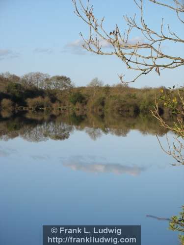 Coole Park, County Galway